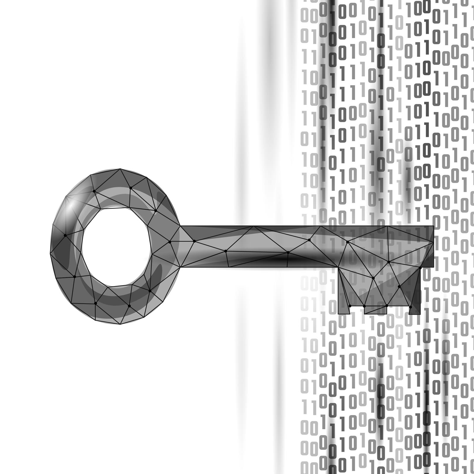 Segreto Industriale e Know How