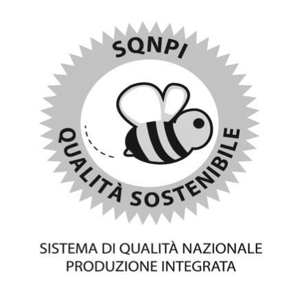 sqnpi-produzione-integrata-marchio-ape